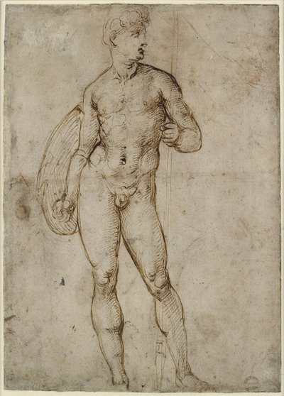 A Youthful Warrior by Raffaello Sanzio Raphael